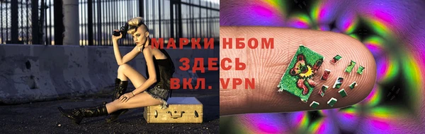 крисы Алзамай