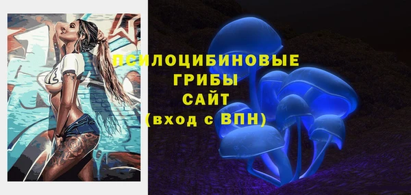 крисы Алзамай