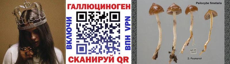 даркнет сайт  Тогучин  ссылка на мегу ONION  Галлюциногенные грибы ЛСД 